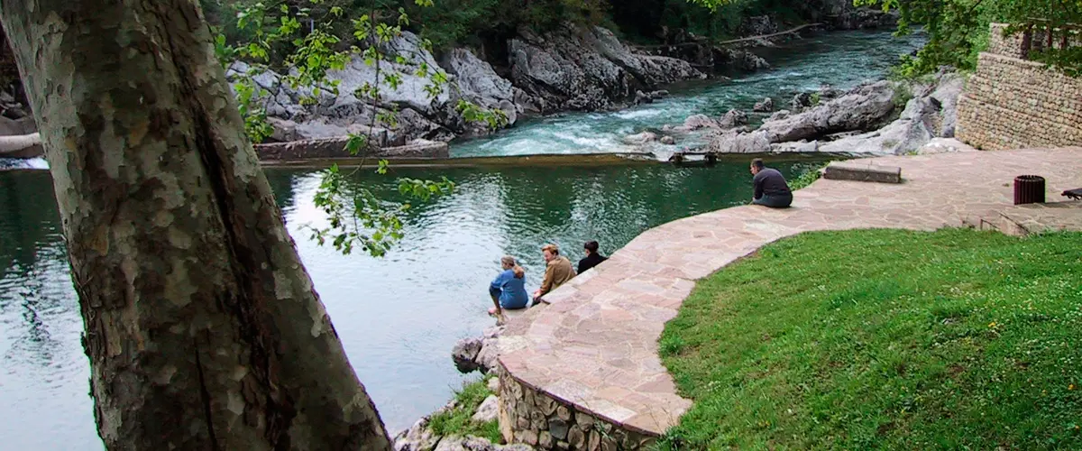 Poza de un rio con paseo de piedra entre arboles
