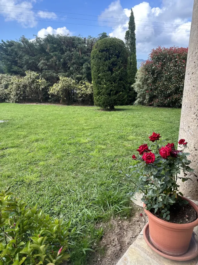 Jardín con césped y rosales