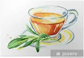 Infusión